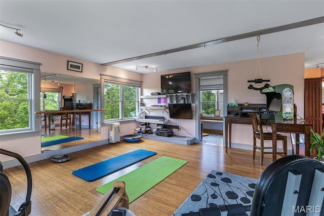 505 Thompson Ln, Arcadia, MO 63621 - workout area with radiator heating unit, track lighting, wood finished floors, and plenty of natural light