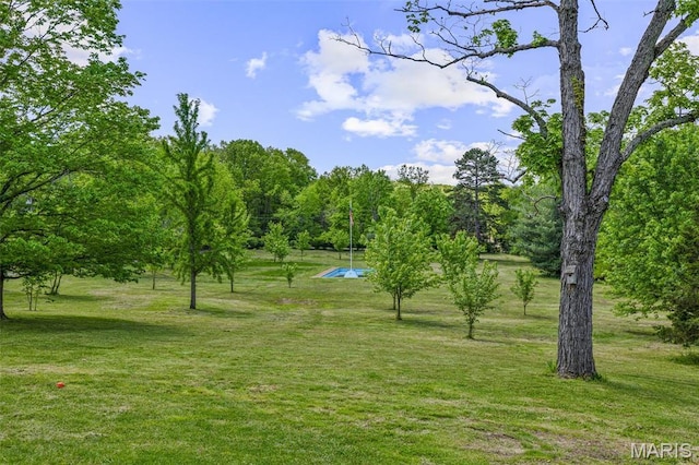 505 Thompson Ln, Arcadia, MO 63621 - view of green lawn