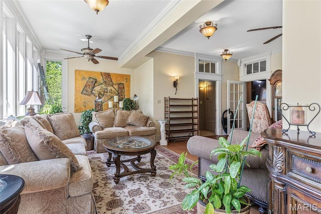 505 Thompson Ln, Arcadia, MO 63621 - living room featuring a ceiling fan, crown molding, wood finished floors, and french doors