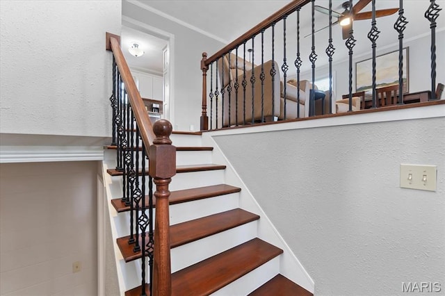 8316 D Rd, Waterloo, IL 62298 - view of stairway