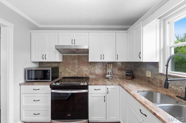 8316 D Rd, Waterloo, IL 62298 - kitchen with appliances with stainless steel finishes, under cabinet range hood, a sink, white cabinetry, and backsplash