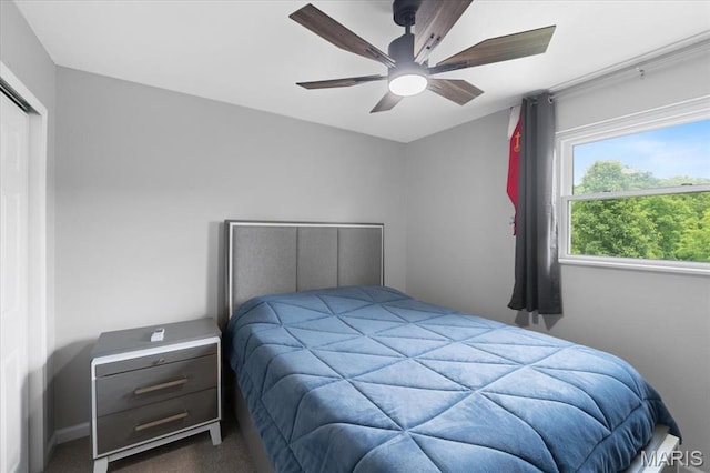 8316 D Rd, Waterloo, IL 62298 - bedroom featuring carpet floors, ceiling fan, and a closet