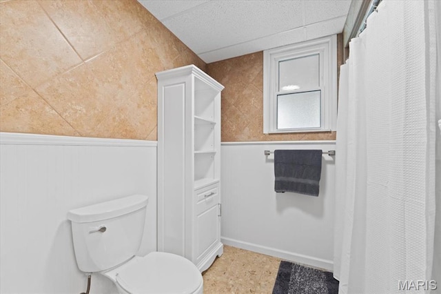 8316 D Rd, Waterloo, IL 62298 - full bathroom with wainscoting and toilet