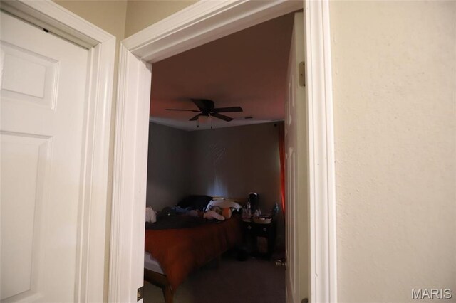 1507 Vine St, Poplar Bluff, MO 63901 - view of bedroom