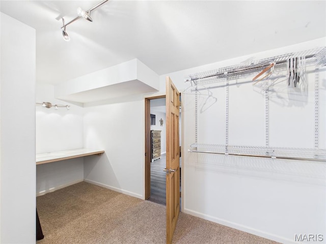 109 Locust Ct, Saint Robert, MO 65584 - spacious closet with carpet floors