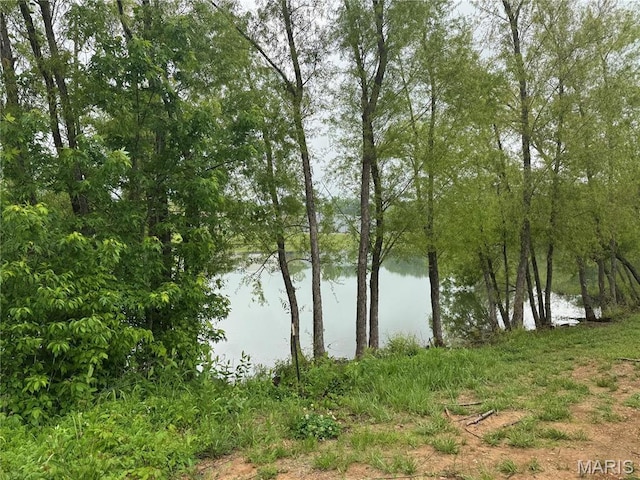 400 E Deerwood Drive 400 & 402, Jackson, MO 63755 - water view