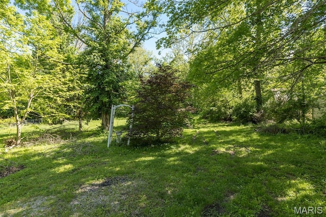 701 Hillsboro Rd, Farmington, MO 63640 - view of green lawn featuring a view of trees