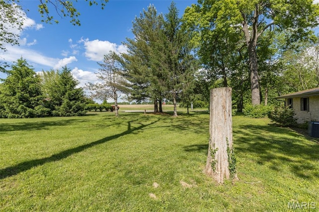701 Hillsboro Rd, Farmington, MO 63640 - view of grassy yard