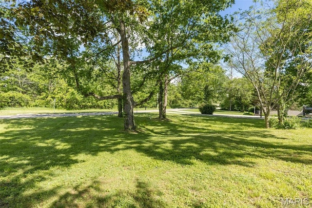 701 Hillsboro Rd, Farmington, MO 63640 - view of grassy yard