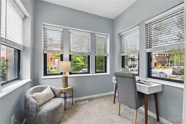 10 N Taylor Ave # 1S, Saint Louis, MO 63108 - home office with carpet and baseboards