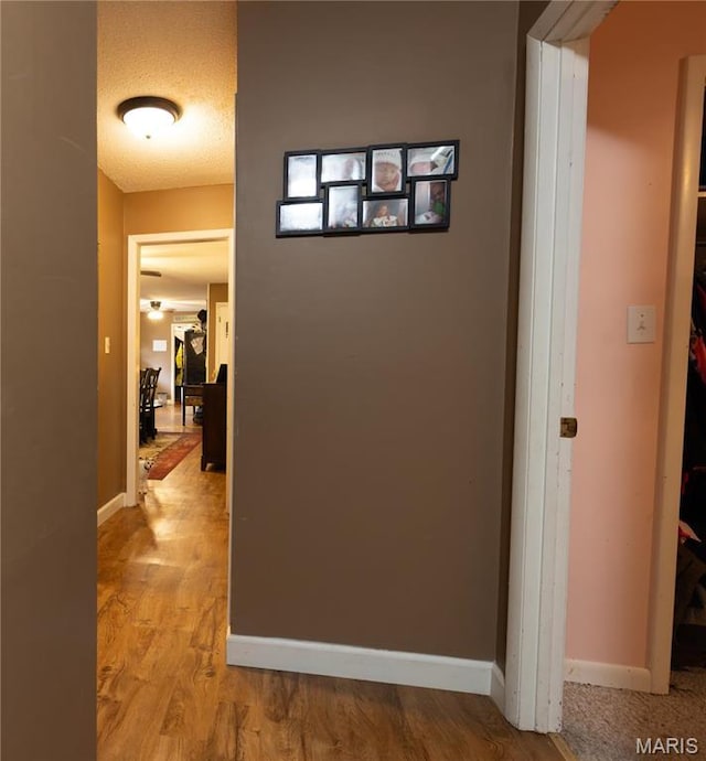 211 E Elm, Bertrand, MO 63823 - hallway with baseboards and wood finished floors