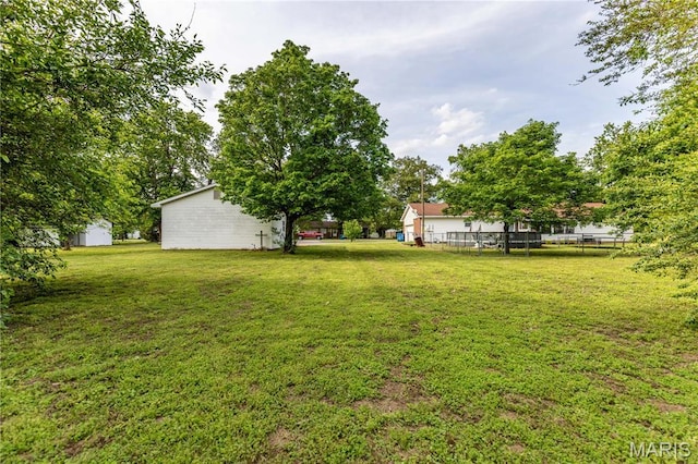 211 E Elm, Bertrand, MO 63823 - view of yard