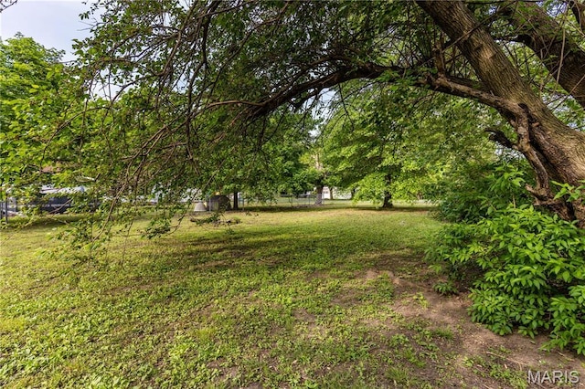211 E Elm, Bertrand, MO 63823 - view of yard