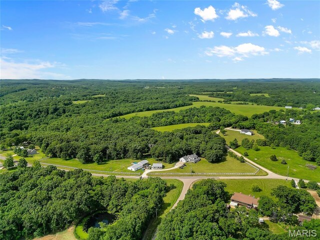 3285 Brook Stone Rd, Festus, MO 63028 - photo 81