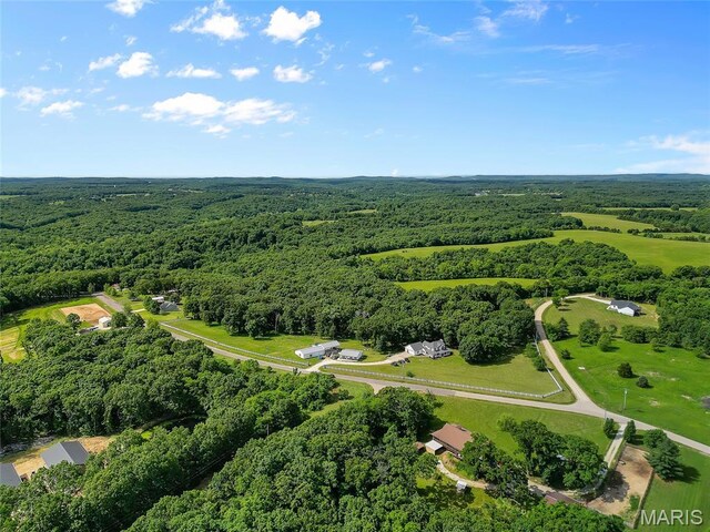 3285 Brook Stone Rd, Festus, MO 63028 - photo 82