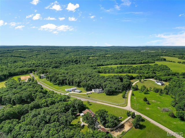 3285 Brook Stone Rd, Festus, MO 63028 - photo 83