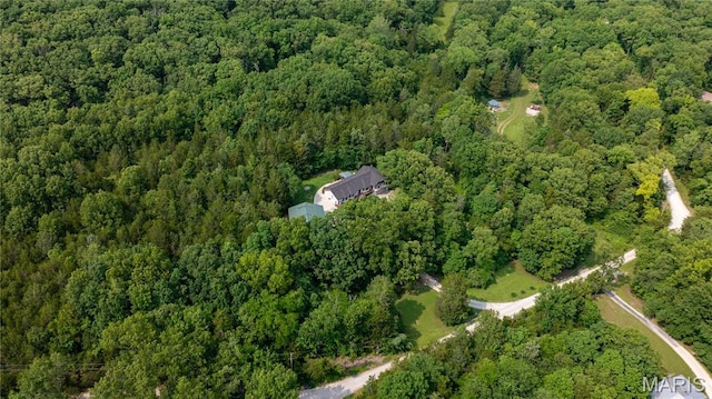 6703 Shenandoah Ln, Dittmer, MO 63023 - view of property location with a heavily wooded area