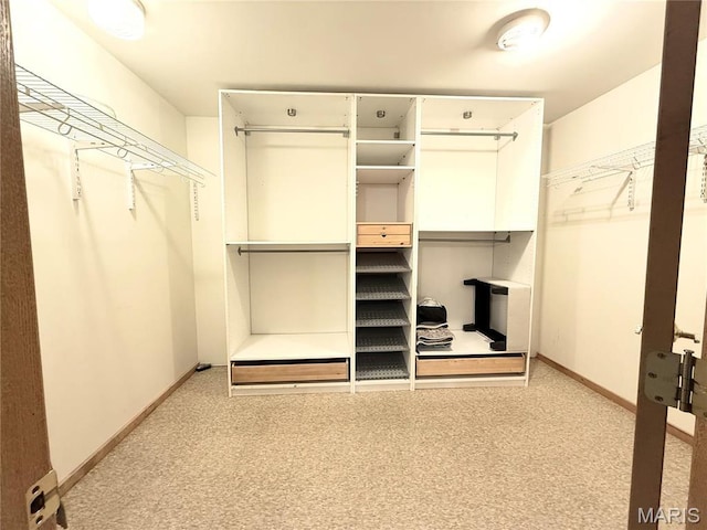 1307 Pike Dr, Bismarck, MO 63624 - walk in closet with light colored carpet