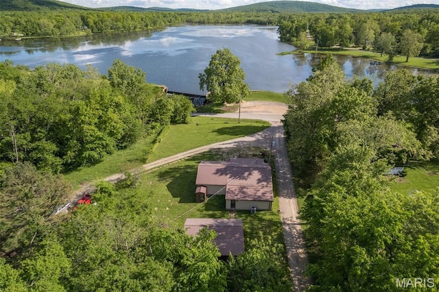 1307 Pike Dr, Bismarck, MO 63624 - drone / aerial view of a water and mountain view and a heavily wooded area