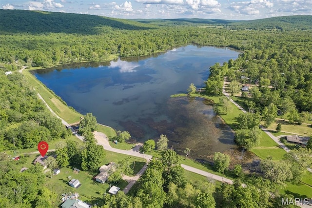 1307 Pike Dr, Bismarck, MO 63624 - aerial view of property's location with a heavily wooded area and a large body of water