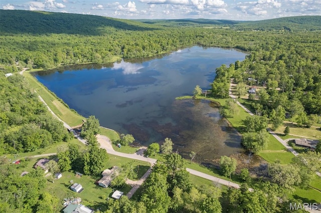 1307 Pike Dr, Bismarck, MO 63624 - aerial overview of property's location with a heavily wooded area and a large body of water