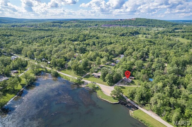 1307 Pike Dr, Bismarck, MO 63624 - aerial view of property and surrounding area with a forest and a large body of water