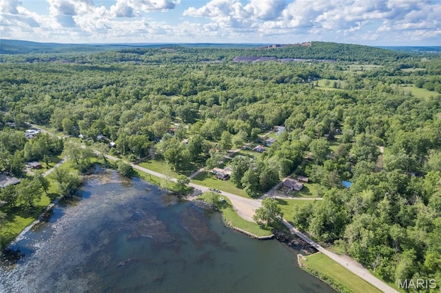 1307 Pike Dr, Bismarck, MO 63624 - aerial view of property and surrounding area featuring a heavily wooded area and a large body of water