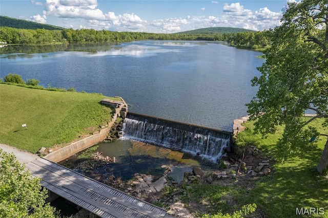 1307 Pike Dr, Bismarck, MO 63624 - water view featuring a forest