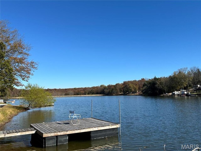 3985 Lakeshore Dr, New Haven, MO 63068 - dock area with a water view