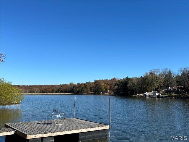 3985 Lakeshore Dr, New Haven, MO 63068 - dock with a water view and a view of trees