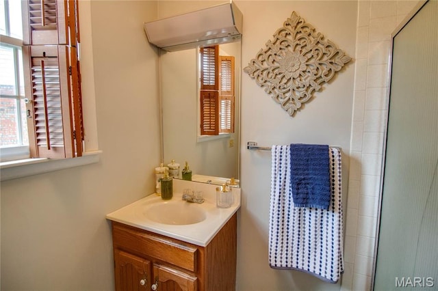 2332 Chadwick Dr, Alton, IL 62002 - bathroom with vanity and a shower with shower door