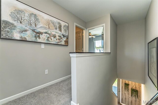 119 Cardow Dr Unit 165-401, Ofallon, MO 63368 - photo 21