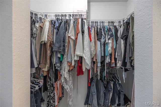view of spacious closet