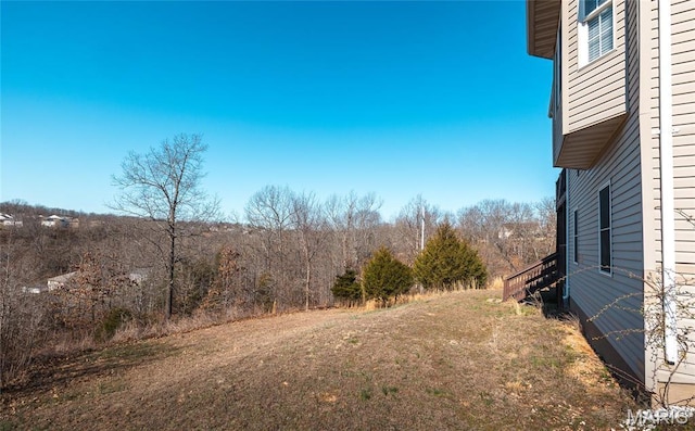 view of yard