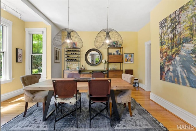 dining room with wood finished floors, plenty of natural light, and baseboards