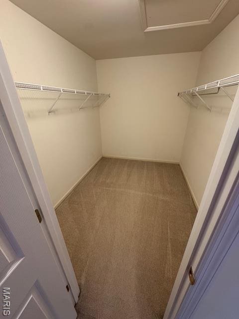 650 Legends View Dr, Eureka, MO 63025 - walk in closet with carpet and attic access