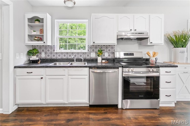 kitchen with appliances with stainless steel finishes, under cabinet range hood, a sink, and dark countertops