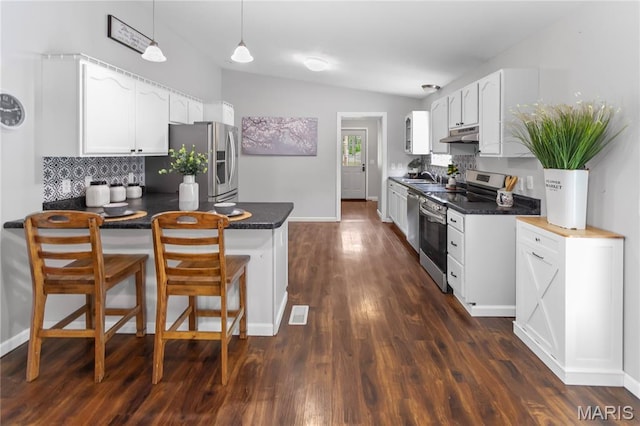 kitchen featuring stainless steel appliances, under cabinet range hood, a peninsula, dark countertops, and lofted ceiling