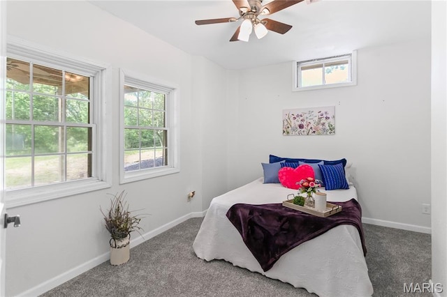 bedroom with multiple windows, carpet, and baseboards