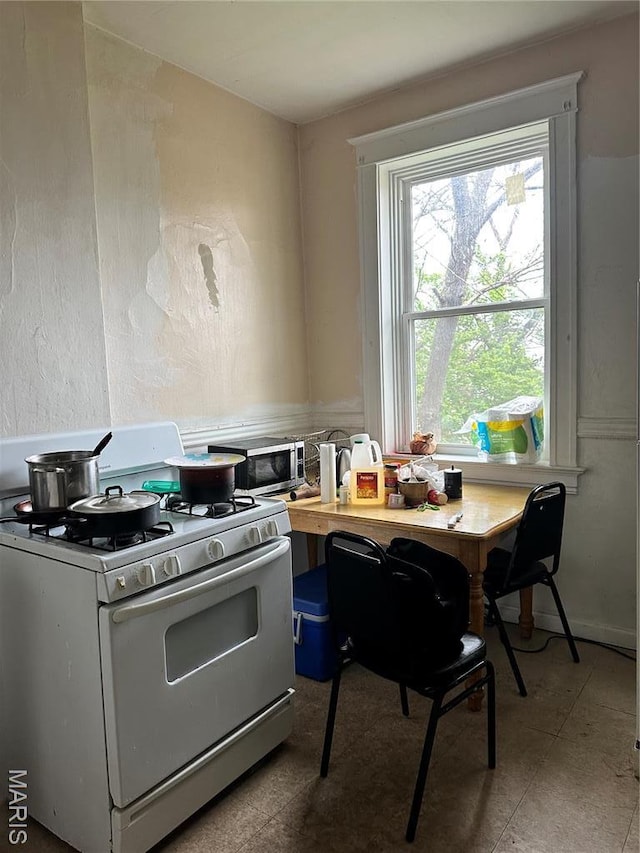 3636 Arkansas Ave, Saint Louis, MO 63118 - kitchen with white gas stove and stainless steel microwave