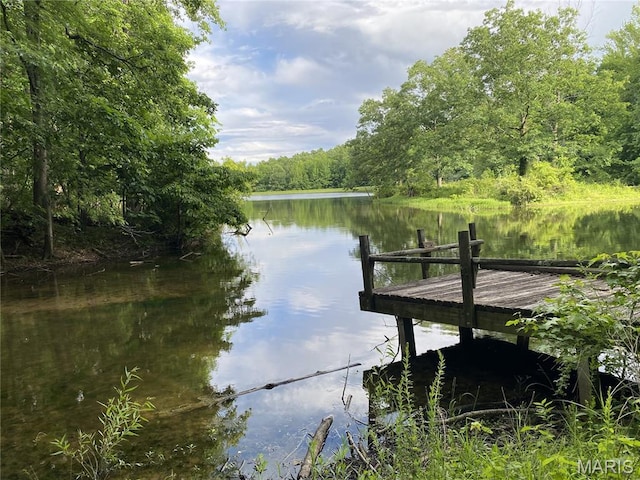 236 Mohawk Dr, Cape Girardeau, MO 63701 - dock area with a water view and a view of trees