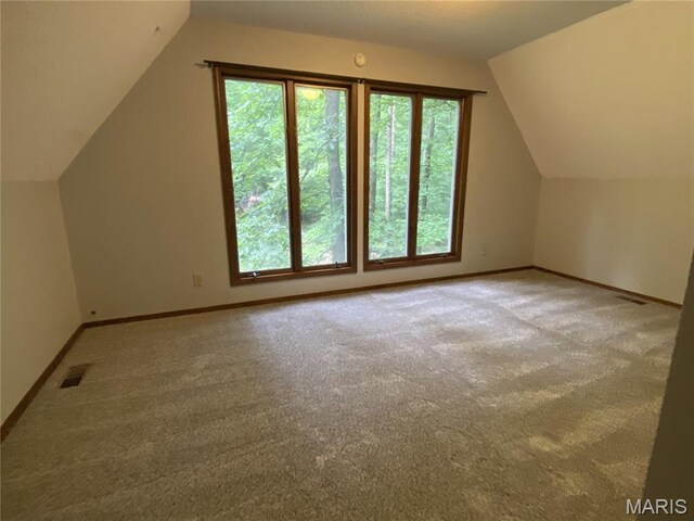 236 Mohawk Dr, Cape Girardeau, MO 63701 - bonus room featuring vaulted ceiling, baseboards, and carpet floors