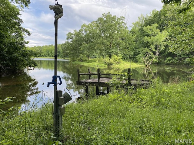 236 Mohawk Dr, Cape Girardeau, MO 63701 - dock featuring a water view and a forest view