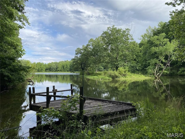 236 Mohawk Dr, Cape Girardeau, MO 63701 - dock with a water view and a wooded view