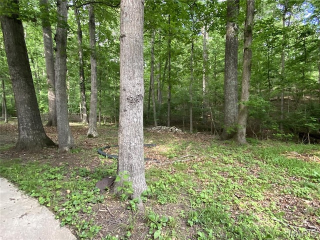 236 Mohawk Dr, Cape Girardeau, MO 63701 - view of tree filled area