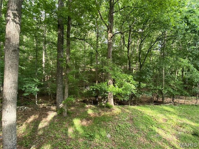 236 Mohawk Dr, Cape Girardeau, MO 63701 - view of tree filled area