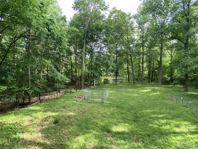 236 Mohawk Dr, Cape Girardeau, MO 63701 - view of yard