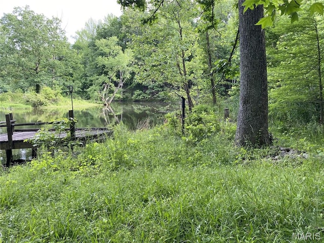 236 Mohawk Dr, Cape Girardeau, MO 63701 - view of tree filled area with a water view