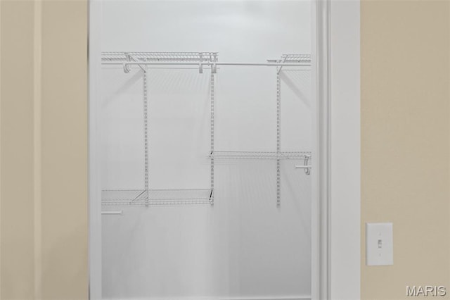 view of walk in closet