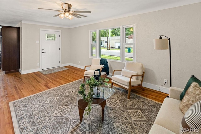 108 W Orchard St, Ofallon, IL 62269 - photo 5